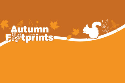 The Autumn Footprints Festival