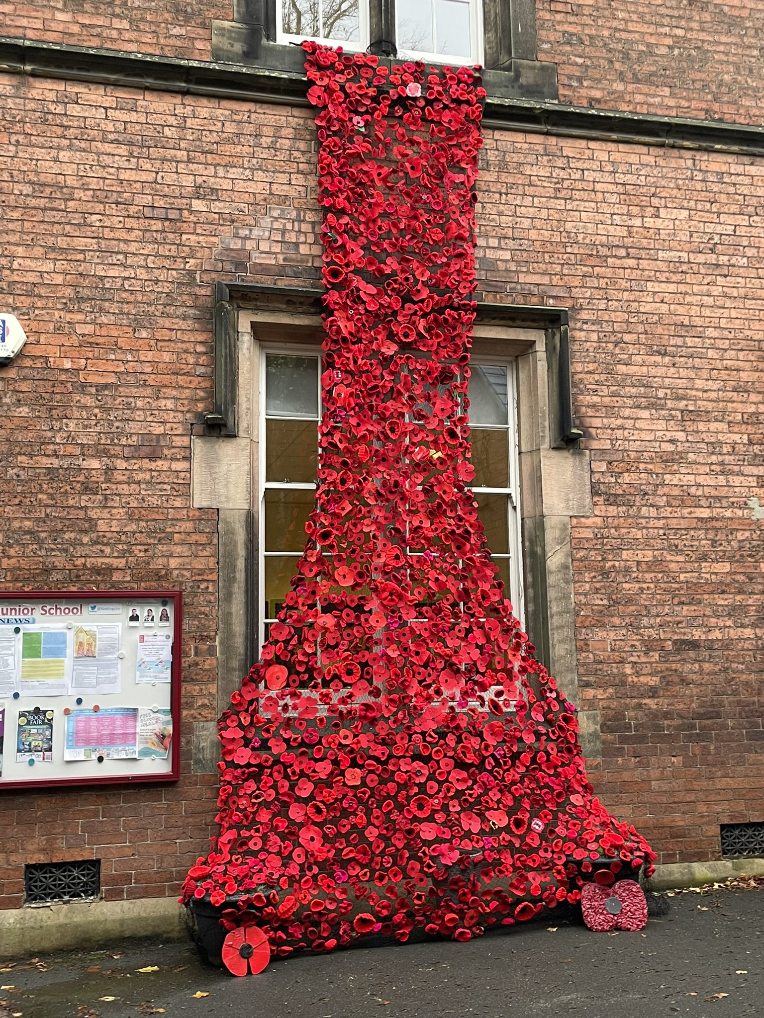 Riddings Junior School displays beautiful poppy tribute to fallen soldiers
