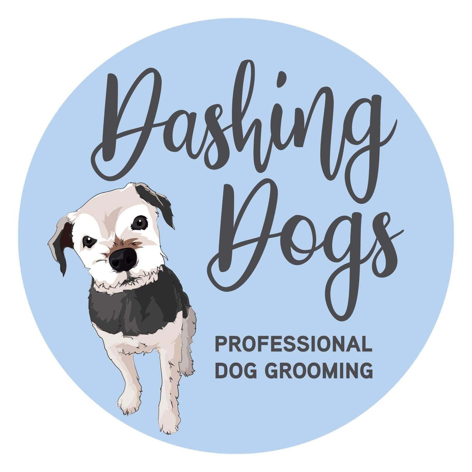 Dashing Dogs, an Alfreton based dog groomers