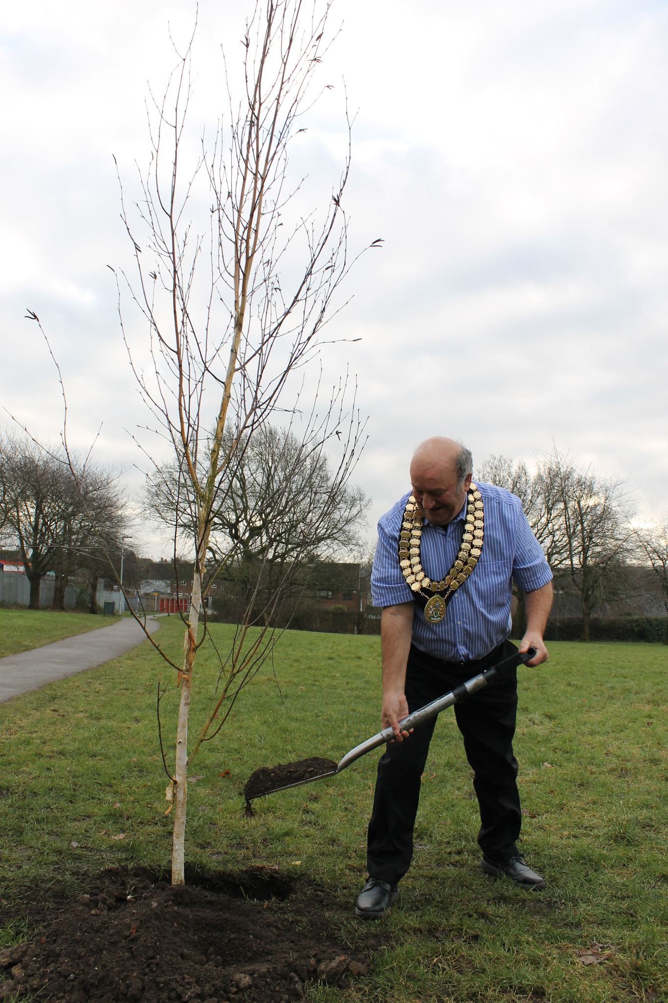 Councillor David Taylor, Mayor of Amber Valley, plants the first trees to form a memorial to victims of the Holocaust at Alfreton Welfare Park