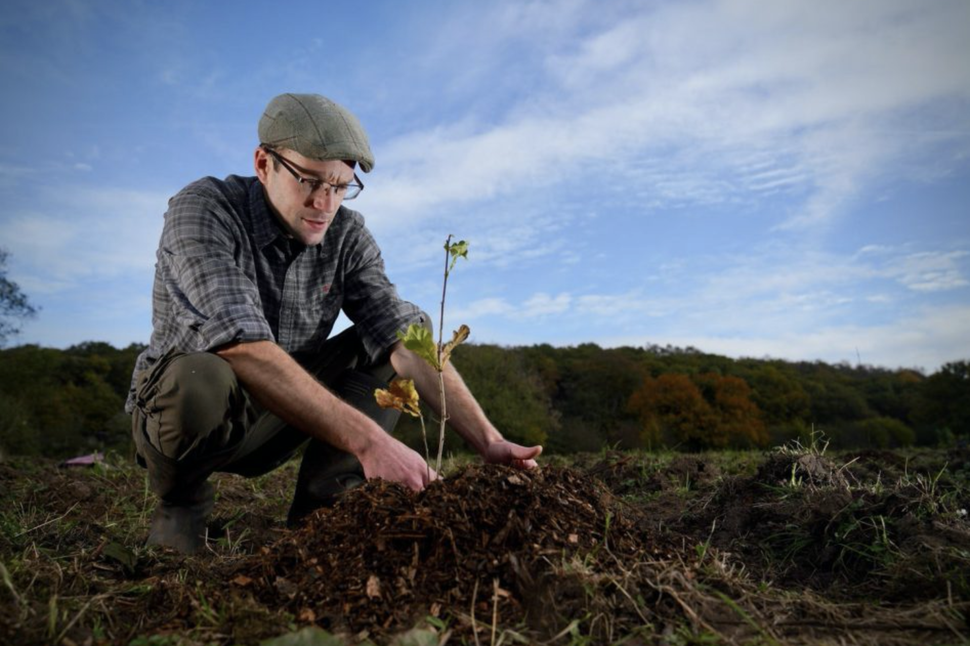 Cash for hedgerows up for grabs for farmers